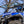 SuperATV MaxDrive Power Flip glass windshield on a Polaris General, mounted view