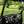 SuperATV half windshield on a Polaris Ranger Midsize, installed close-up