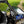 SuperATV flip down glass windshield on a Polaris Ranger XP 1000, detail view