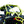 SuperATV rear windshield on a Polaris RZR 900, front view
