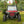 SuperATV full polycarbonate windshield on a Polaris RZR, detail view