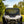 SuperATV full windshield on a Polaris RZR Pro XP, angle view