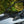SuperATV half windshield on a Polaris RZR Pro XP, angle view