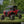 SuperATV flip windshield on a Polaris RZR XP Turbo S, angle view