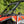 SuperATV flip windshield on a 2024+ Polaris RZR XP, cab view