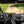 SuperATV full windshield on a 2024+ Polaris RZR XP, alternate angle
