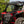 SuperATV MaxDrive power flip windshield on a 2024+ Polaris RZR XP, front view