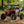 SuperATV vented windshield on a 2024+ Polaris RZR XP, side view