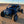 TMW Maverick R Cage - Dunes 2 Dezert SXS