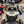 TMW Desert Series 2 Seater Cage - Dunes 2 Dezert SXS