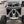 TMW Can-Am X3 Pro Series Shock Tower Support - Dunes 2 Dezert SXS