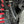Can-Am Maverick R Charge Tube - Dunes 2 Dezert SXS