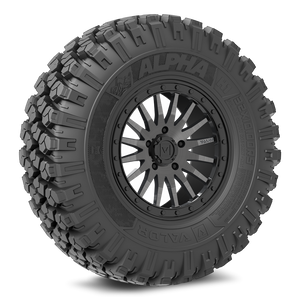 Alpha on V06 BG - Dunes 2 Dezert SXS