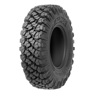 Alpha on V08 Dark Tint - Dunes 2 Dezert SXS