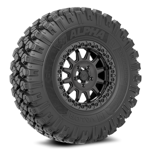 Alpha on V09 Brushed Charcoal - Dunes 2 Dezert SXS