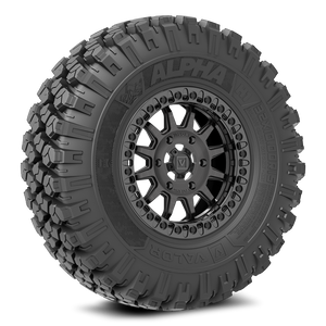 Alpha on V09 Brushed Charcoal - Dunes 2 Dezert SXS