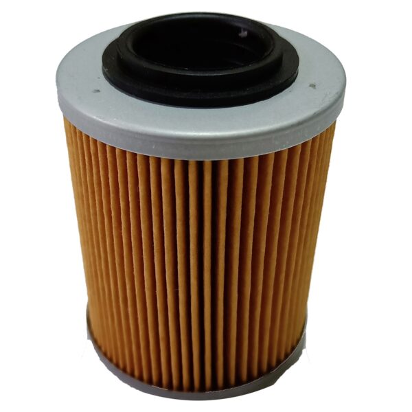 420956123 - CanAm Oil Filter - Image 2