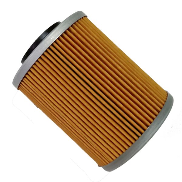 420956123 - CanAm Oil Filter