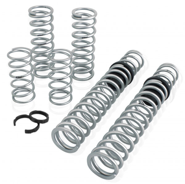 Eibach RZR XP4 Dual Rate Spring Kit with Walker Evans shocks