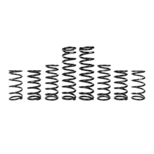 ZBroz Polaris RZR Pro R/Turbo R dual rate spring kit Dynamix