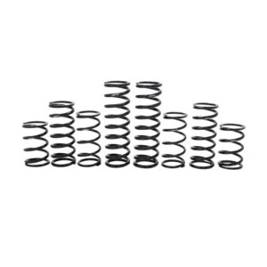 ZBroz Polaris RZR Pro R/Turbo R dual rate spring kit