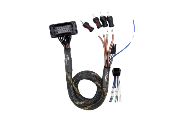 RZR® Pro Series Ride Command Front & Rear RCA Output + Speaker Wire & Remote